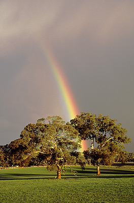 Image courtesy Geoff Wise:  www.wises.com.au