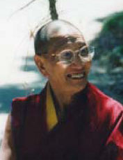 Kirti Tsenshab Rinpoche